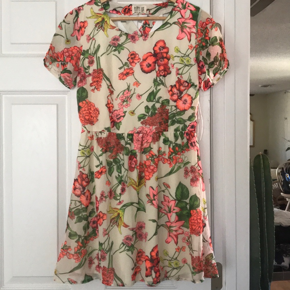 NWT Poppy Lux blossom Dress size 8